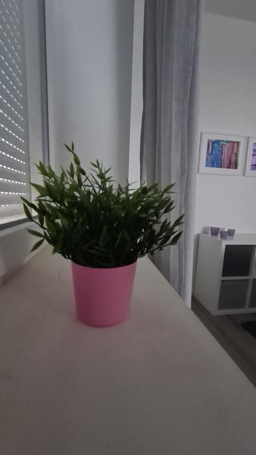 Appartement Lavendel, Ferienwohnung Mit Eigenem Eingang Wie Ein Kleines Haus Bad Salzuflen Exteriör bild